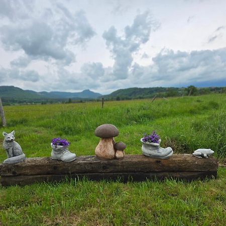 Wataha Pod Basztami - Wadera - Domki Caloroczne Radkow Buitenkant foto