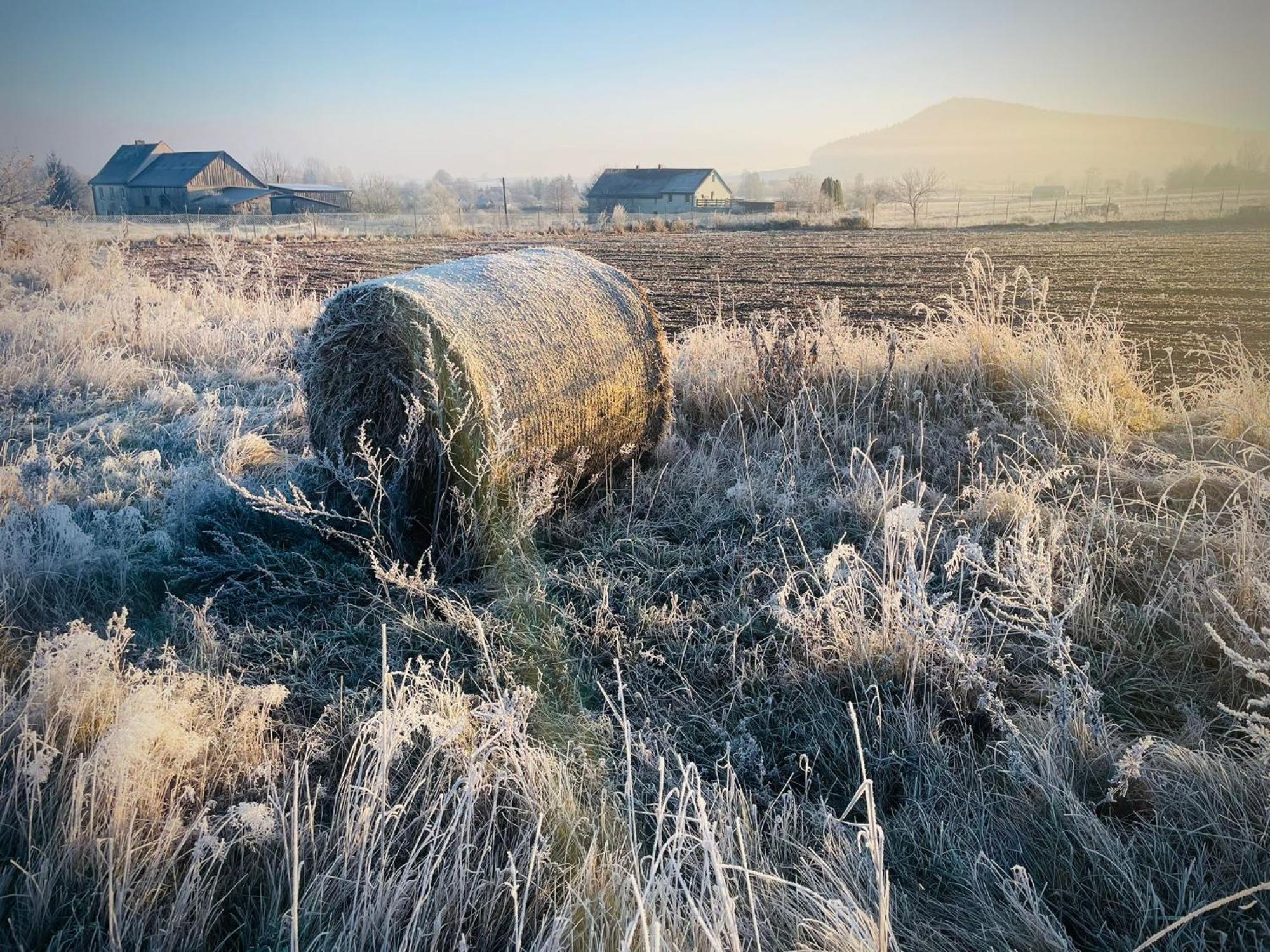 Wataha Pod Basztami - Wadera - Domki Caloroczne Radkow Buitenkant foto