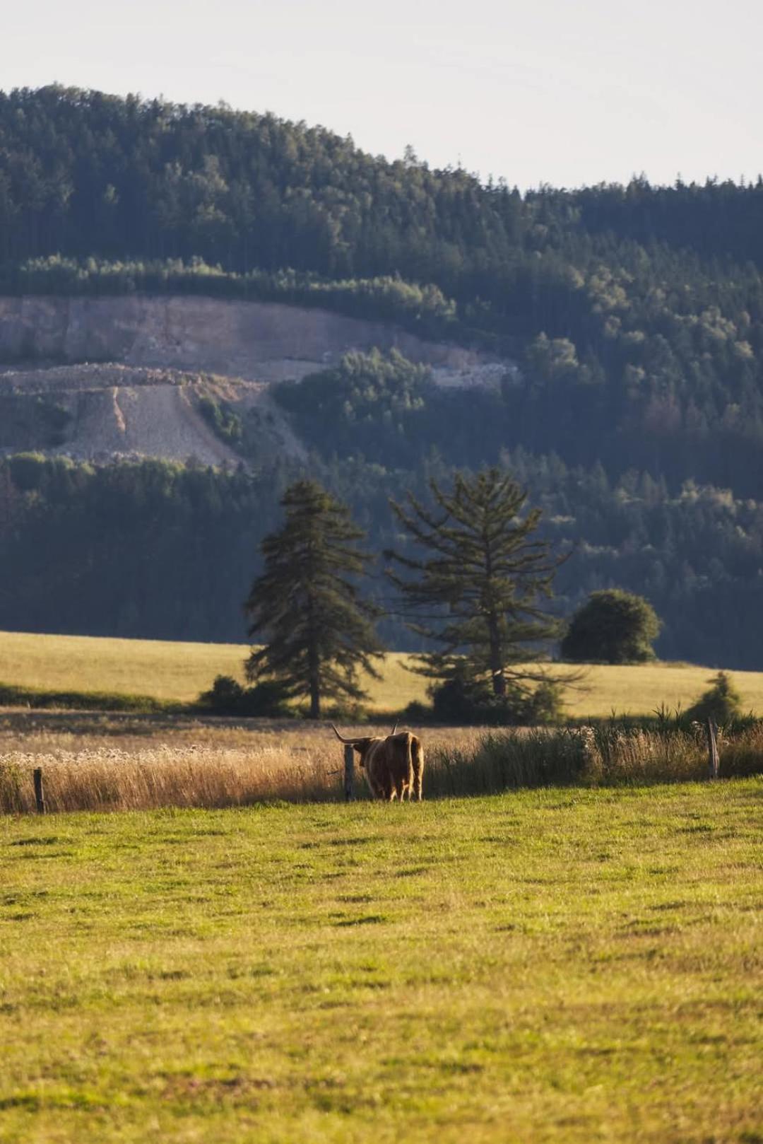 Wataha Pod Basztami - Wadera - Domki Caloroczne Radkow Buitenkant foto